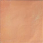 DNA TILES BOW SQUARE COTTO 18,5x18,5 MAT