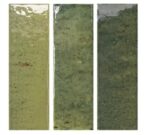 WOW SABIL JUNGLE 5x15 GLOSS