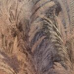 ABK WIDE&STYLE FOURIFORMATO PALMS A 120x280 NAT