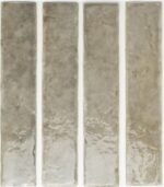 WOW POTTERS FOSSIL 5x25 GLOSS