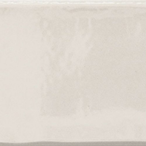 ergon-trend-white-majolica-125x25-plytka-gresowa